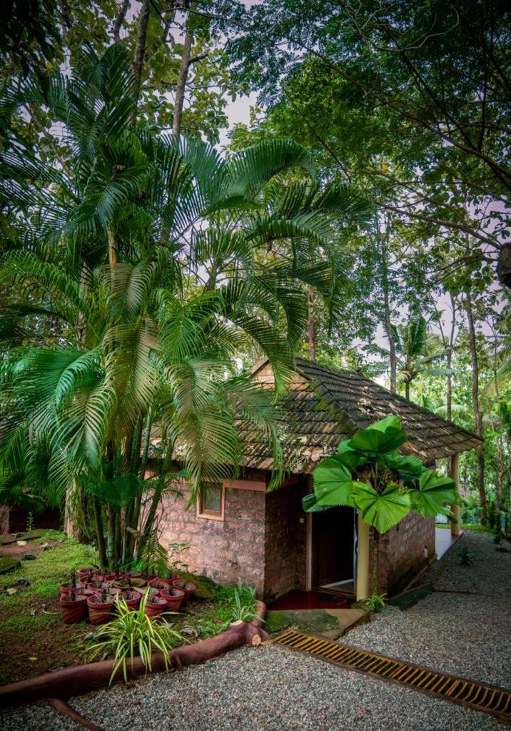 Vishram Village Varkala Ngoại thất bức ảnh