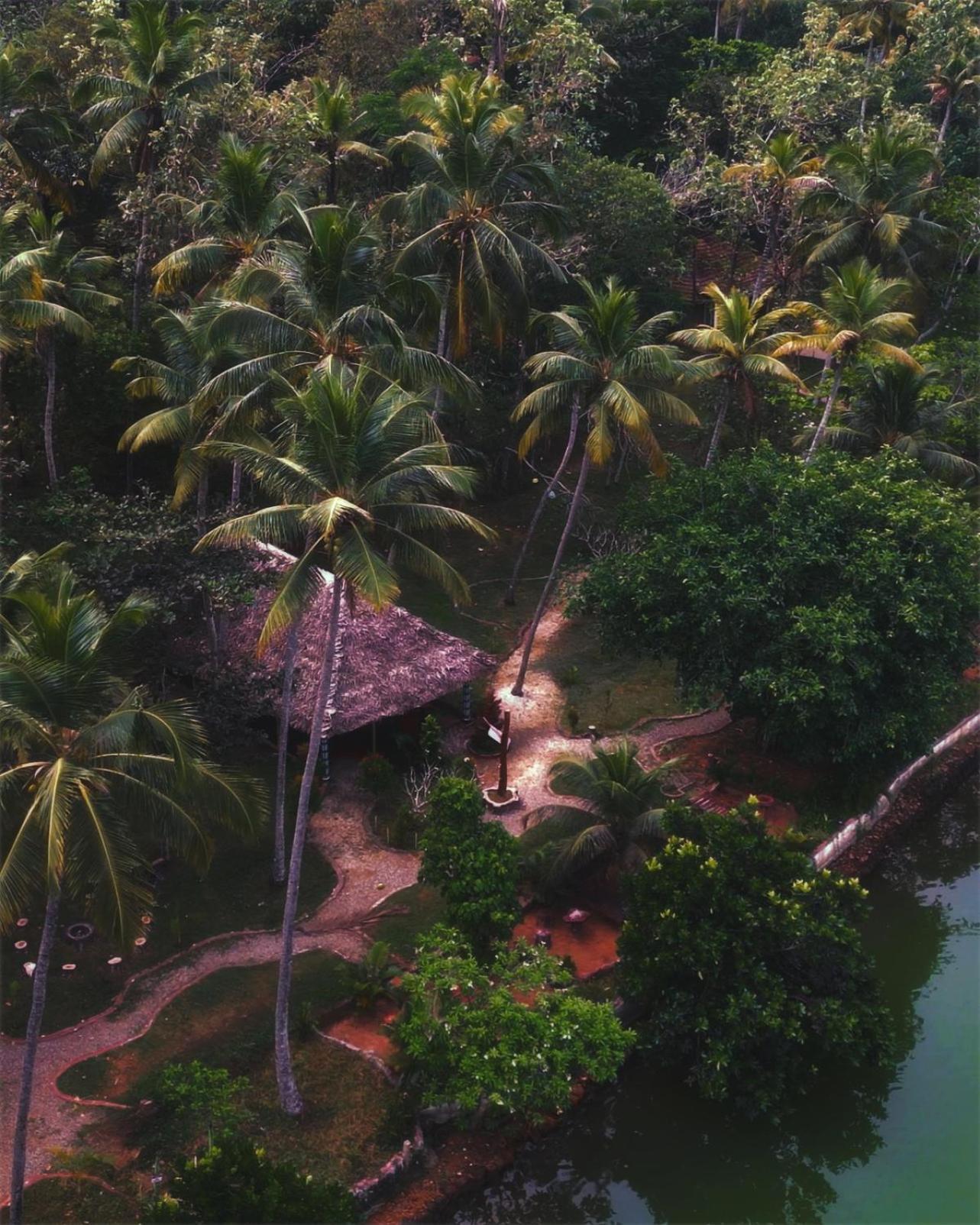Vishram Village Varkala Ngoại thất bức ảnh
